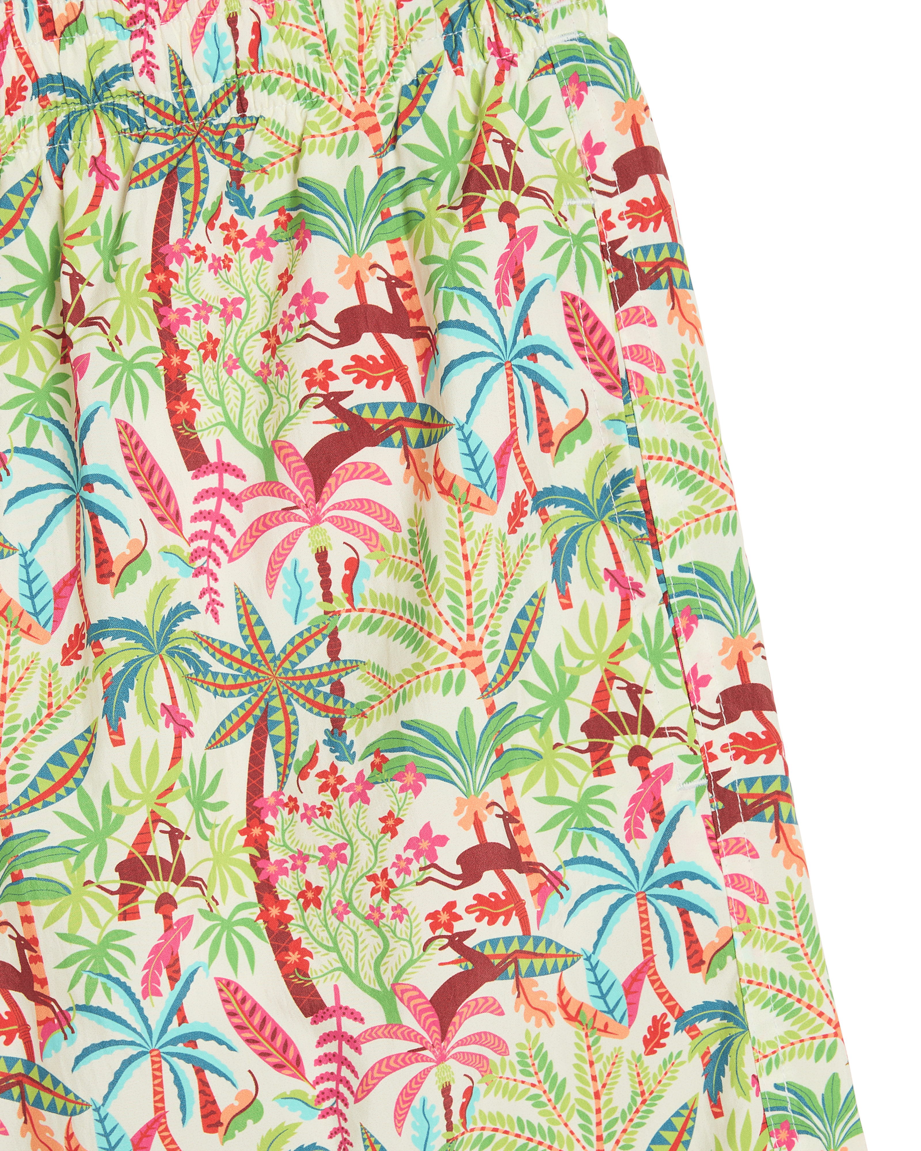 Swim Trunks in Louis Barthélemy Print