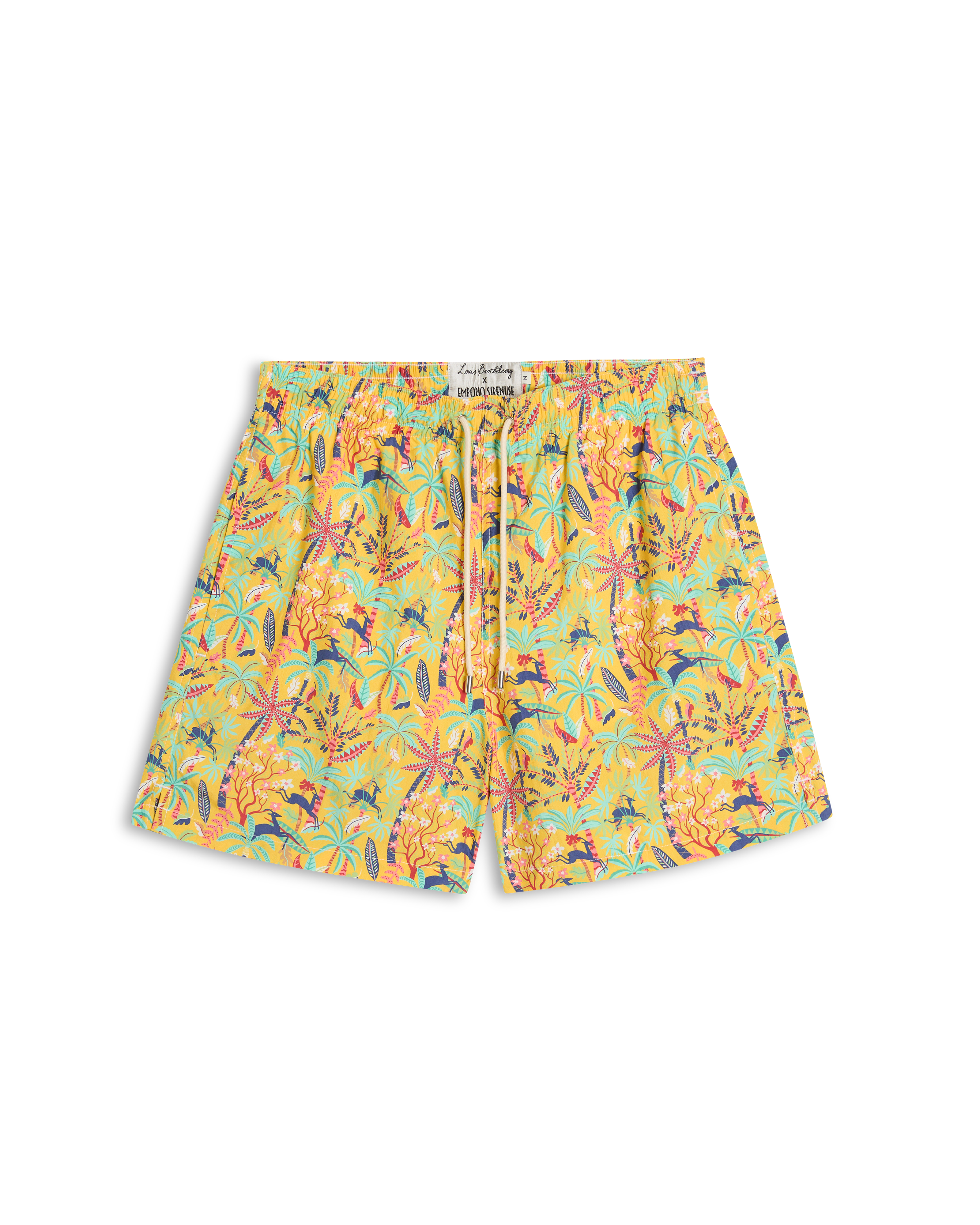 Swim Trunks in Louis Barthélemy Print