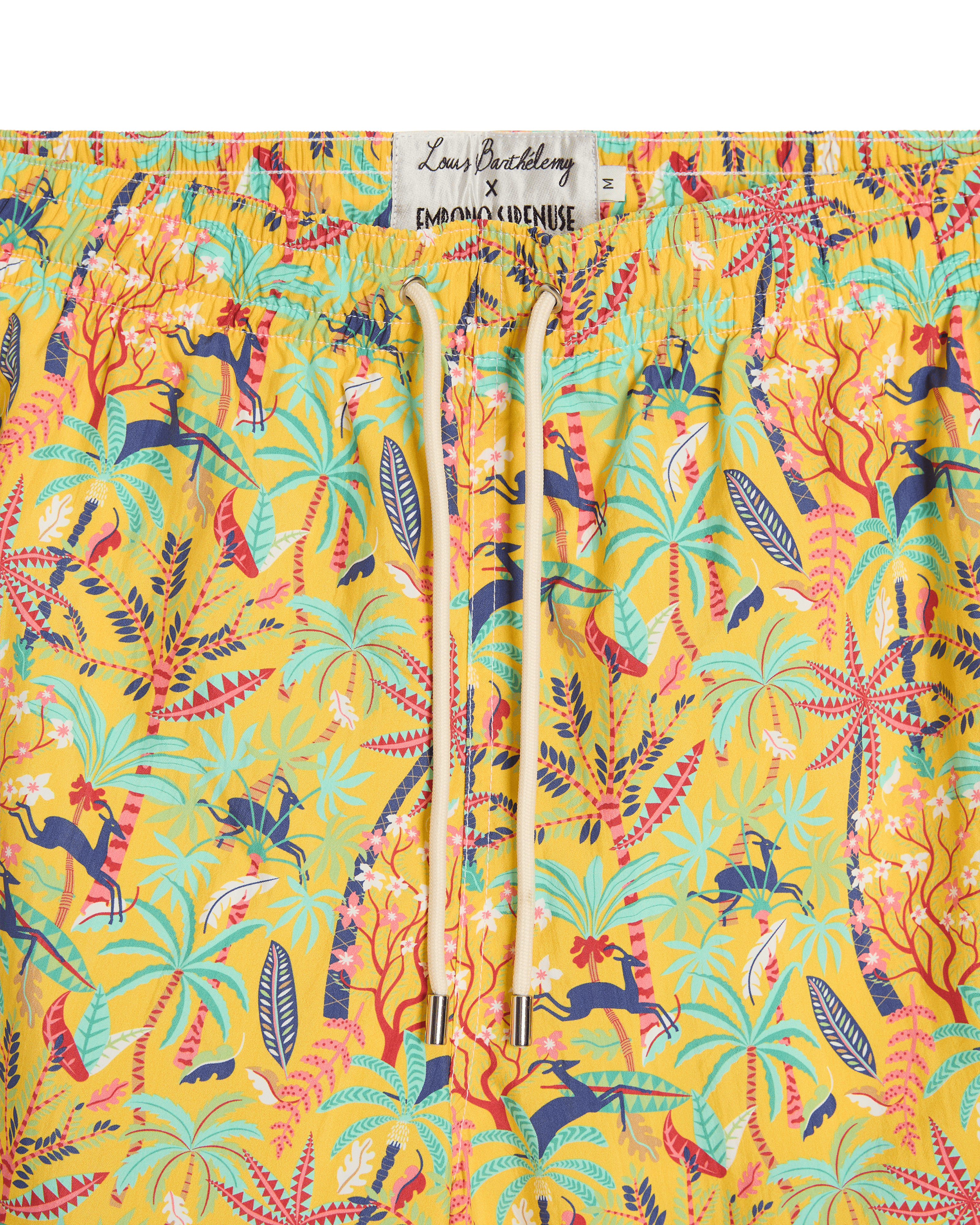Swim Trunks in Louis Barthélemy Print