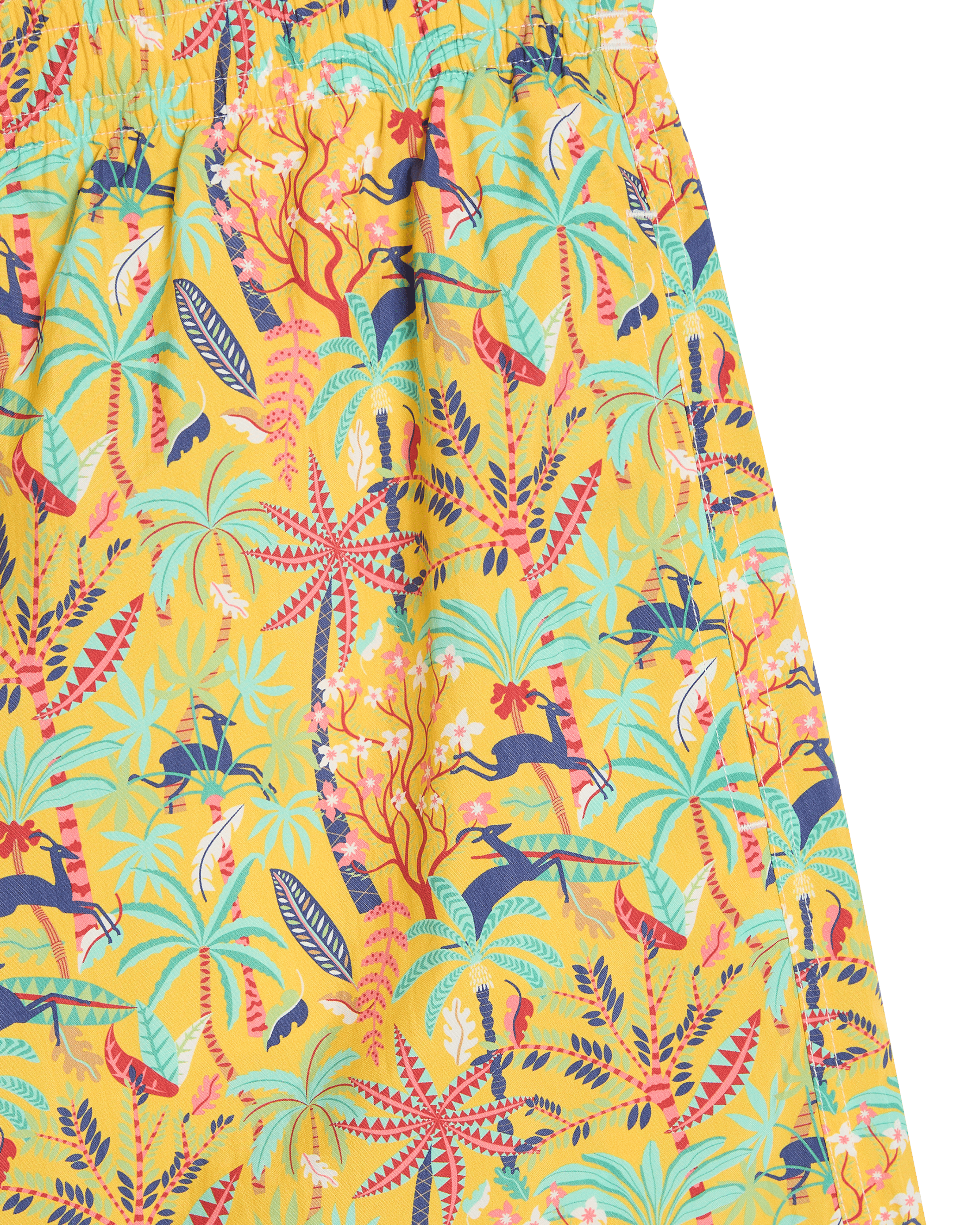 Swim Trunks in Louis Barthélemy Print