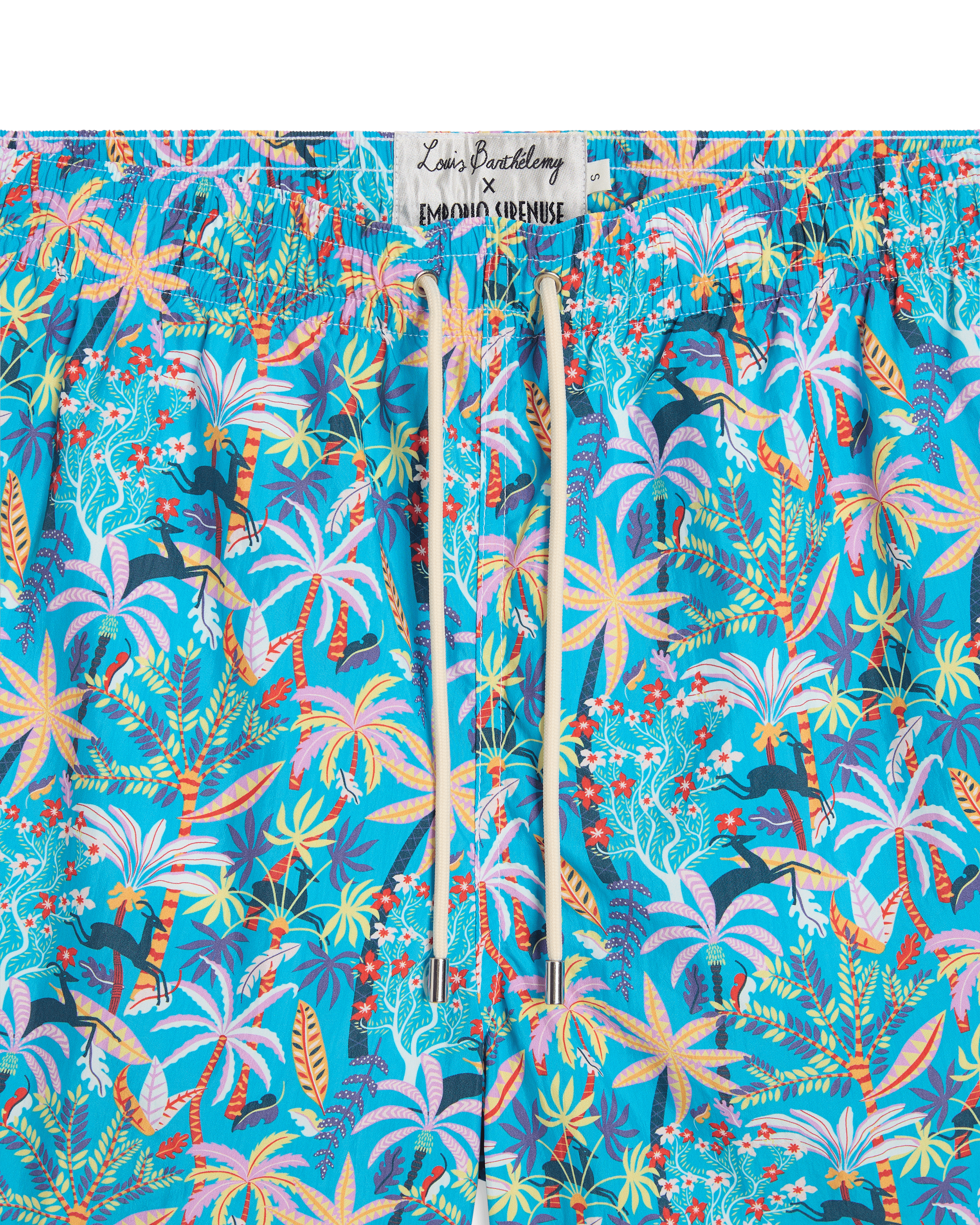 Swim Trunks in Louis Barthélemy Print