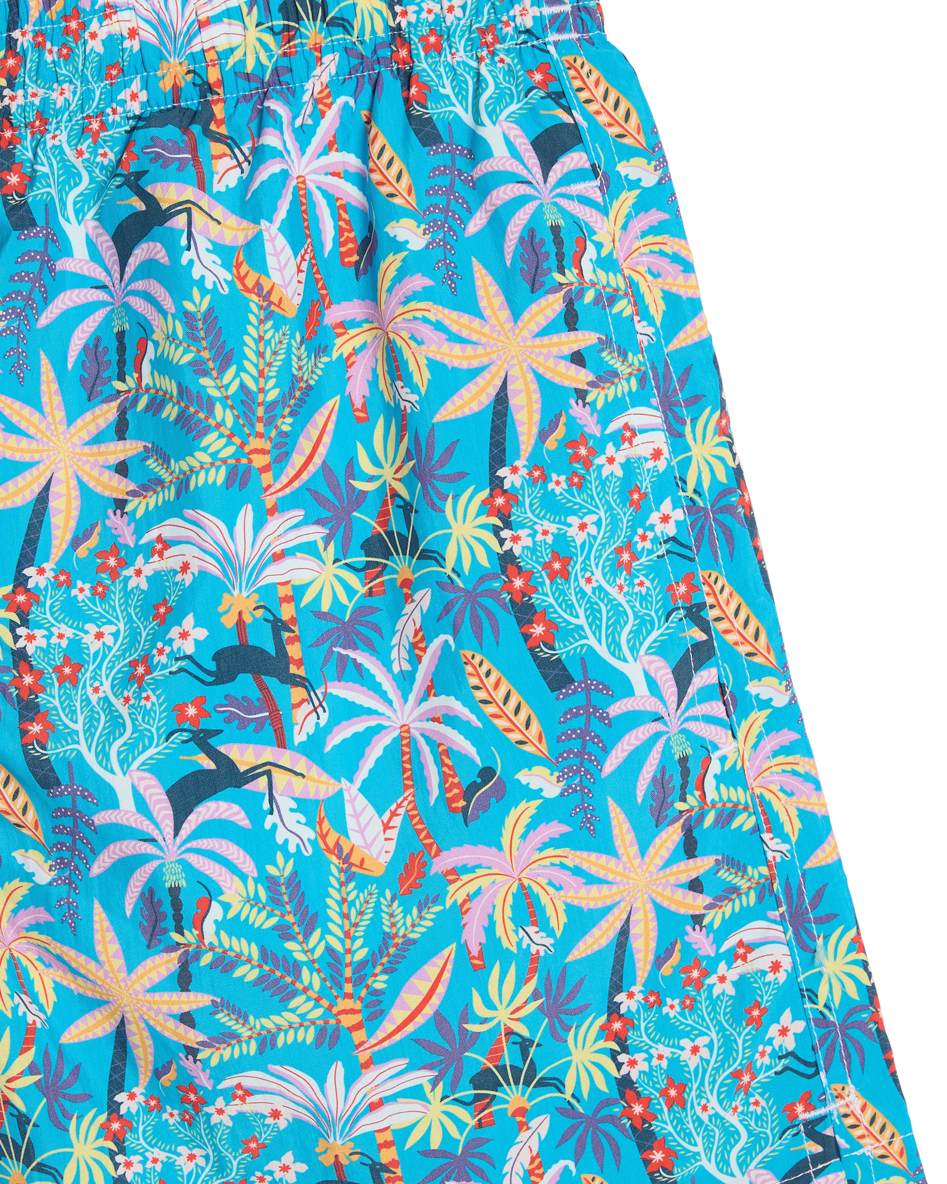 Swim Trunks in Louis Barthélemy Print