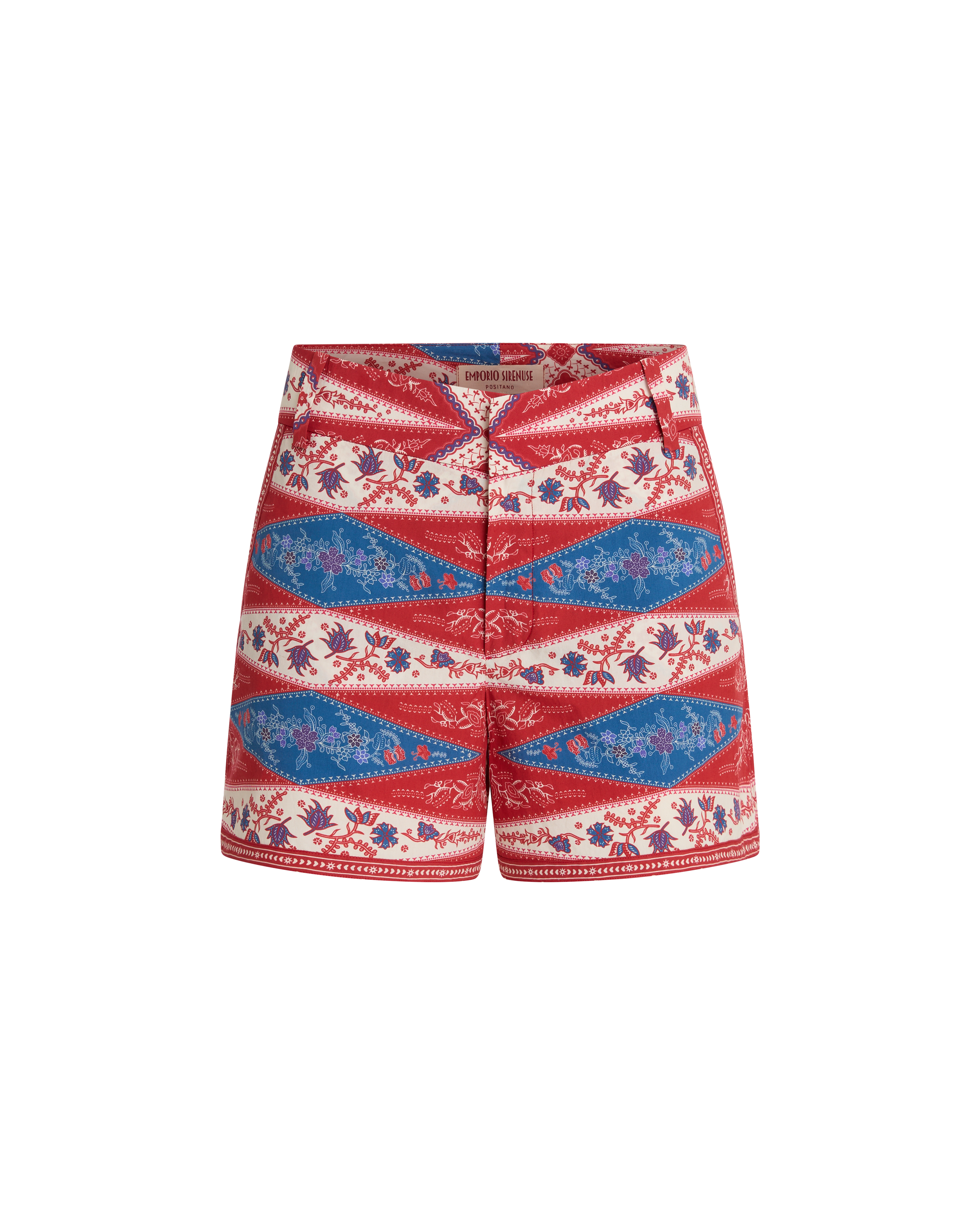 Shorts in Kites Print