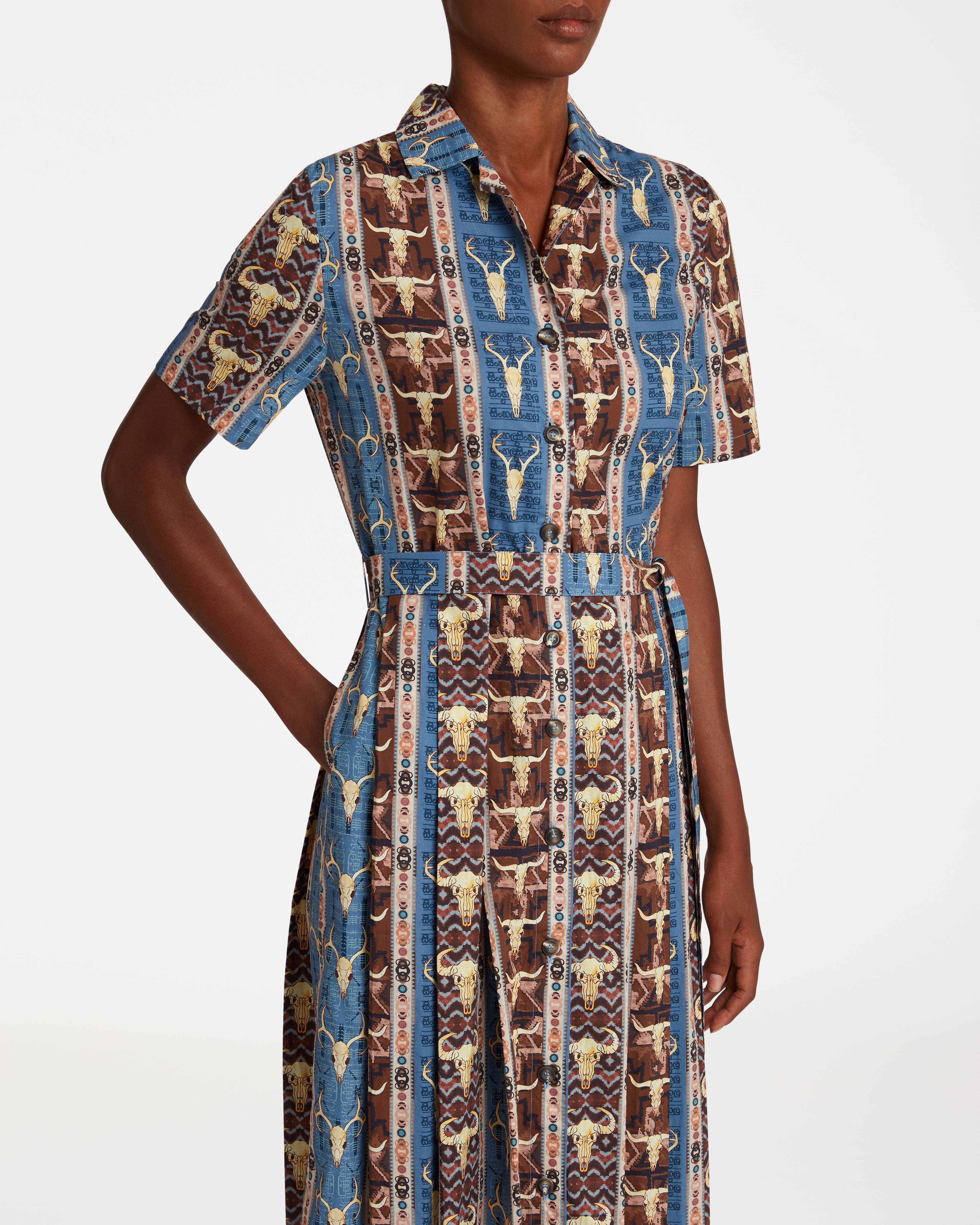 Claudia Dress in Arizona Print