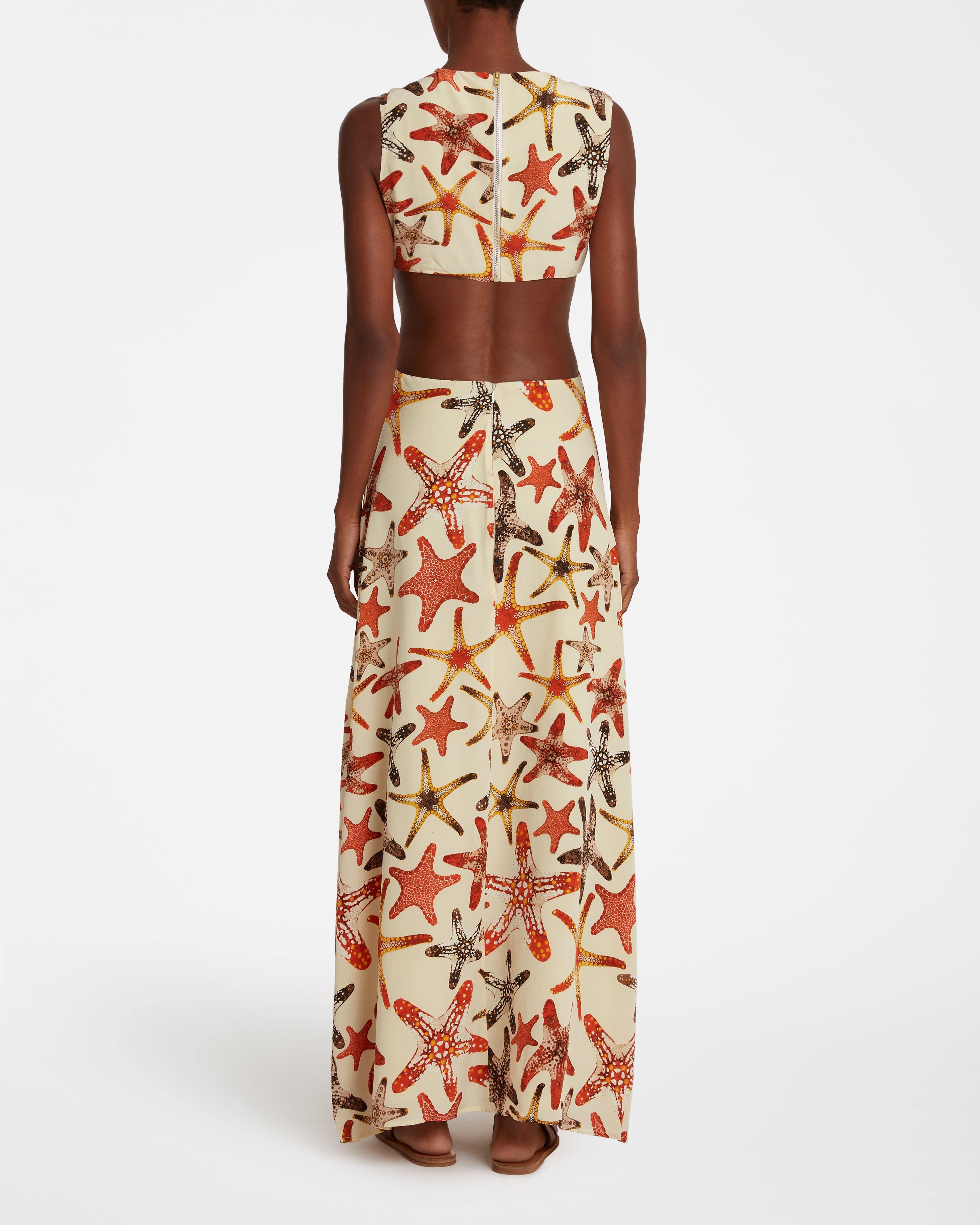 Paola Dress In Starfish Print