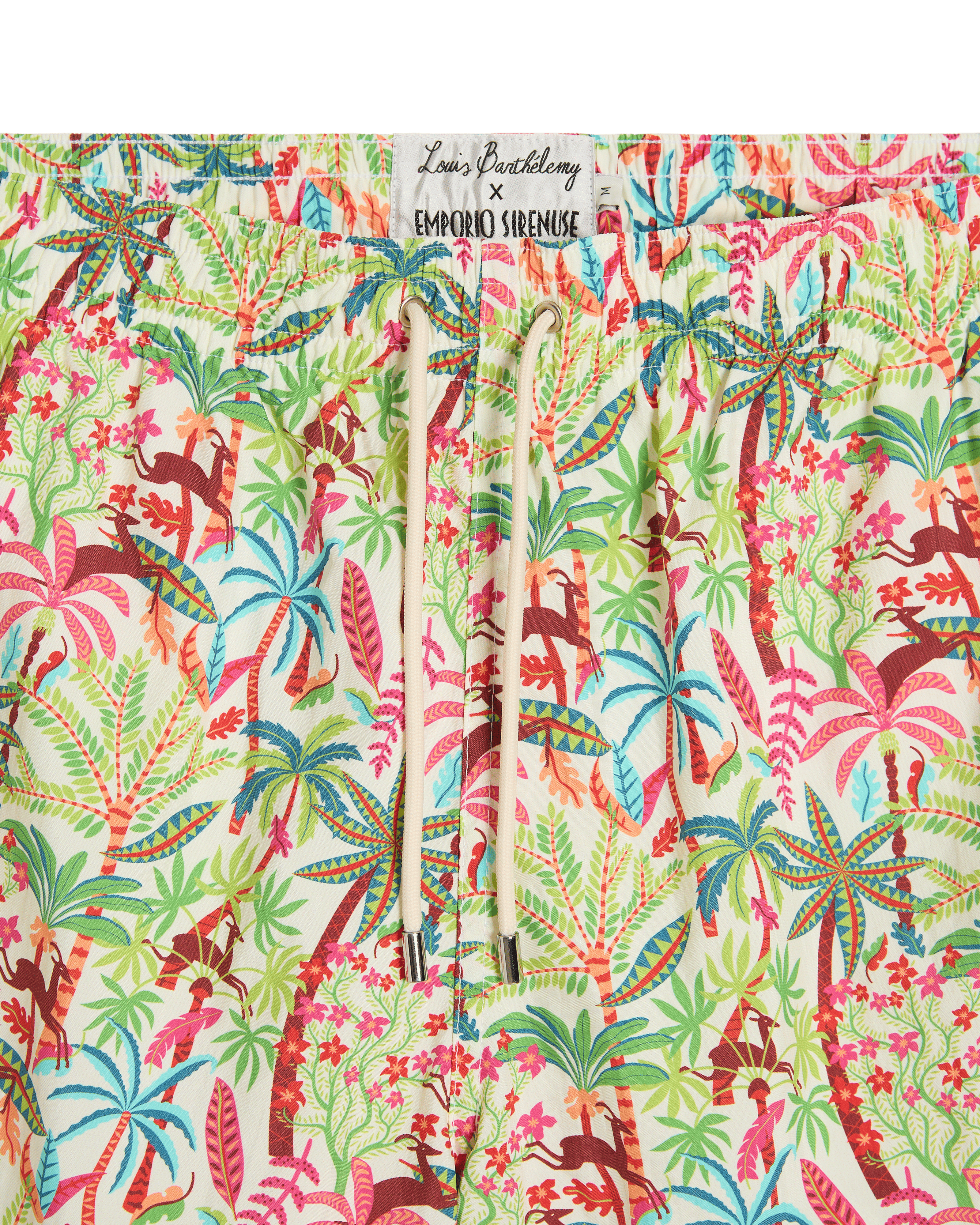 Swim Trunks in Louis Barthélemy Print