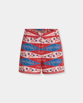 Shorts in Kites Print
